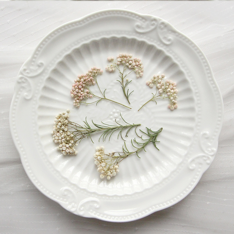 Dried Flower Bookmark - 12 piezas, Ramas de flor de