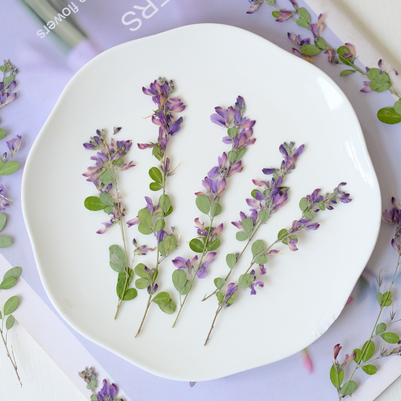 6 piezas, Flores Secas y Prens - Dried Flower Bookmark reseña y precio